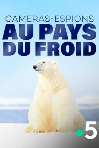 Caméras-espions au pays du froid movie poster - Entertainment content