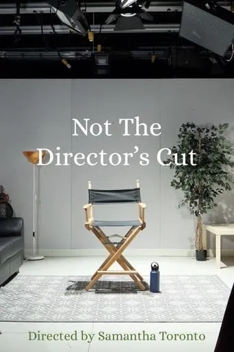 Not the Director's Cut movie poster - Entertainment content