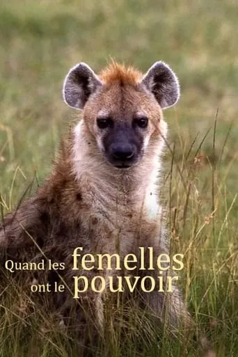 Quand les femelles ont le pouvoir movie poster - Rated 9.5/10