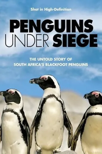 Penguins Under Siege movie poster - Entertainment content