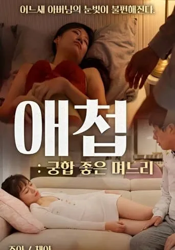 Concubine: Daughter-in-law With Good Compatibility movie poster - Entertainment content