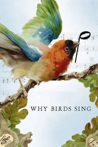 Why Birds Sing movie poster - Entertainment content