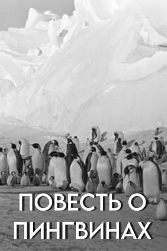 Tale of the Penguins movie poster - Entertainment content