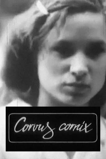 Corvus Cornix - From Latin as Raven movie poster - Entertainment content