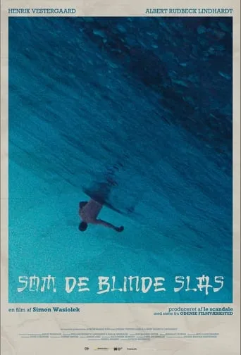 Brawling in Blindspots movie poster - Entertainment content