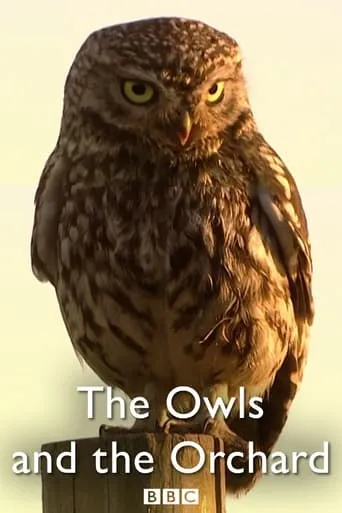 The Owls and the Orchard movie poster - Entertainment content