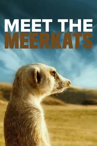 Meet the Meerkats movie poster - Entertainment content