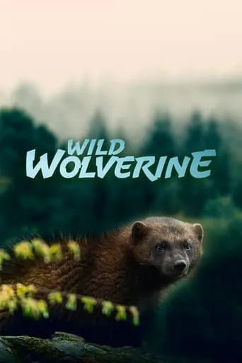 Wild Wolverine movie poster - Rated 5/10