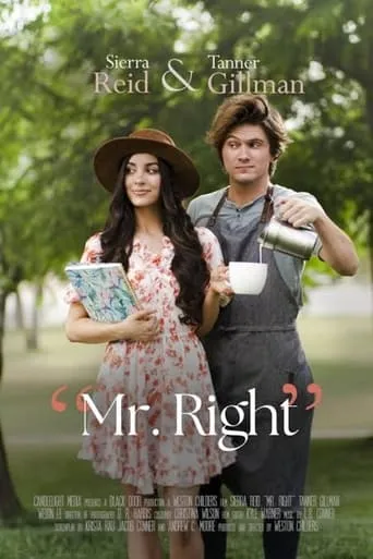 Mr. Right movie poster - Rated 8.1/10