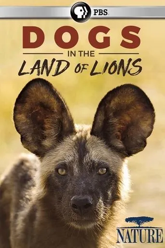 Dogs in the Land of Lions movie poster - Rated 8/10
