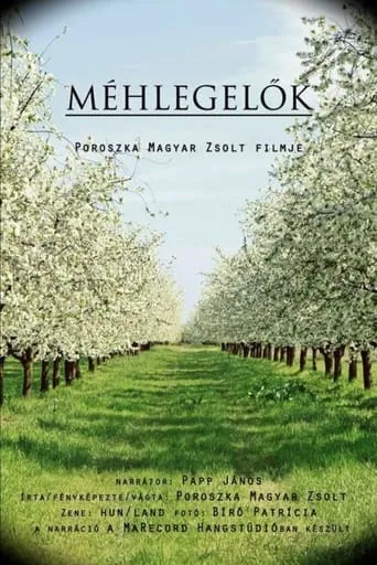Méhlegelők movie poster - Entertainment content