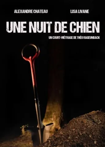 Une nuit de chien movie poster - Entertainment content