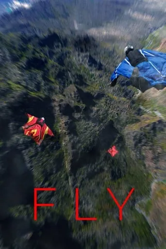Fly movie poster - Rated 8/10