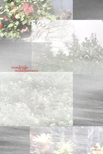 an ode to chris helzer's field guide to roadside wildflowers at full speed movie poster - Entertainment content