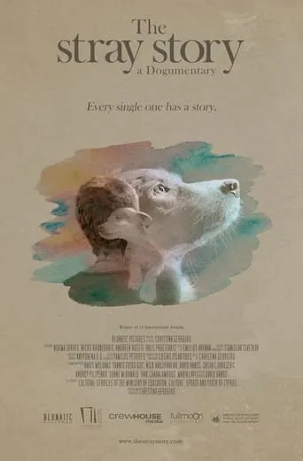 The Stray Story: A Dogumentary movie poster - Entertainment content