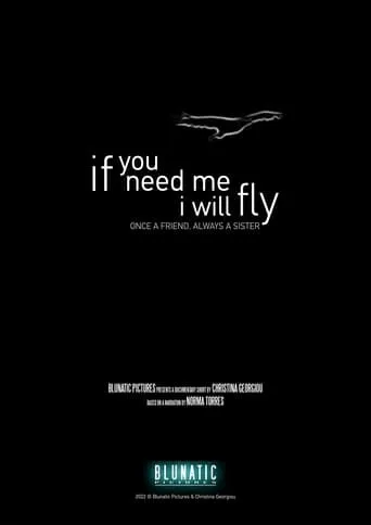 If You Need Me, I Will Fly movie poster - Entertainment content