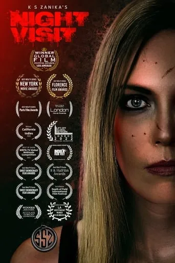 Night Visit movie poster - Entertainment content