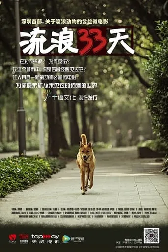 流浪33天 movie poster - Entertainment content