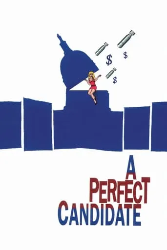 A Perfect Candidate movie poster - Rated 5.6/10
