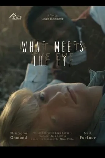 What Meets The Eye movie poster - Entertainment content