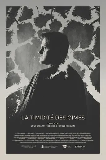 La Timidité des Cimes movie poster - Entertainment content