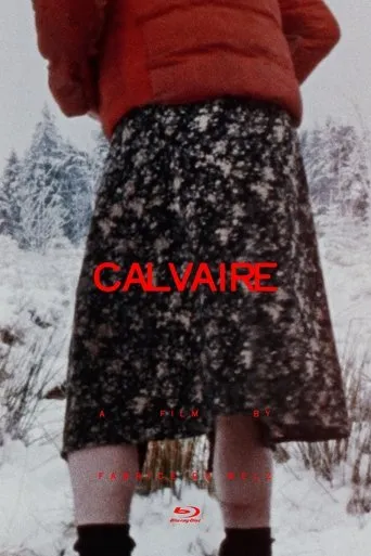 Calvaire movie poster - Rated 5.9/10
