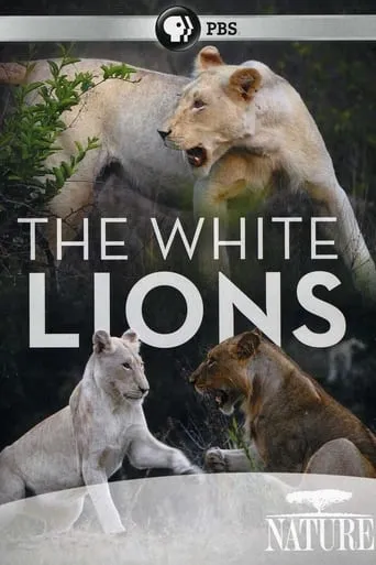 The White Lions movie poster - Rated 9/10