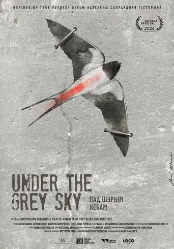 Under the Grey Sky movie poster - Entertainment content