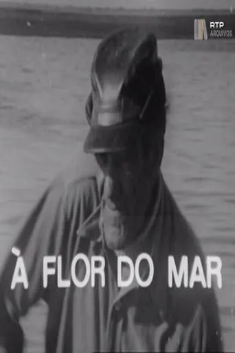 À Flor do Mar movie poster - Entertainment content