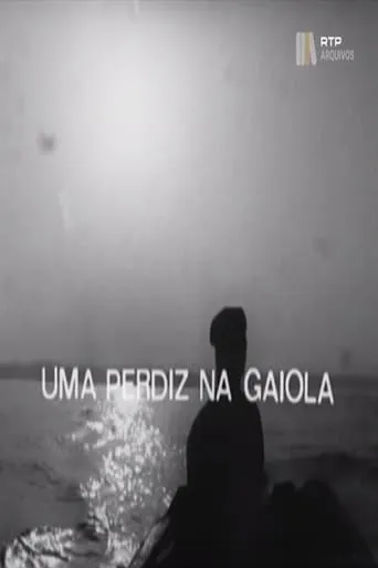 Uma Perdiz na Gaiola movie poster - Entertainment content