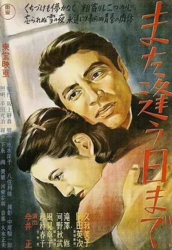 Till We Meet Again movie poster - Rated 6.3/10