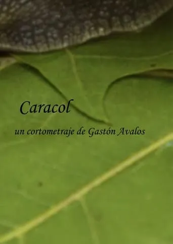 Caracol movie poster - Entertainment content