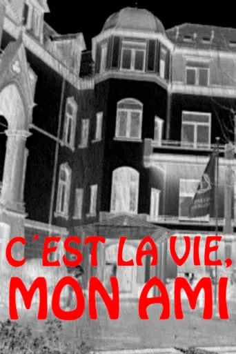 C'est la vie, mon ami movie poster - Entertainment content