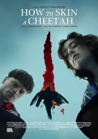 How to Skin a Cheetah movie poster - Entertainment content