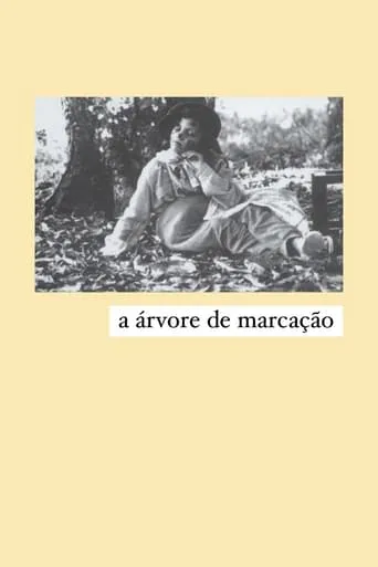 A Árvore de Marcação movie poster - Entertainment content