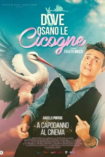 Dove osano le cicogne movie poster - Rated 6.102/10