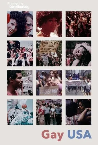 Gay USA movie poster - Rated 5.786/10