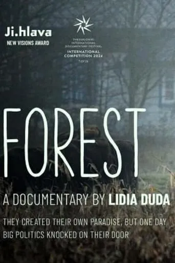 Forest movie poster - Rated 5/10