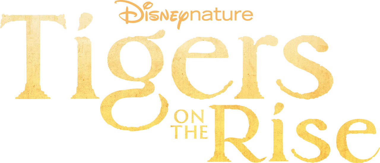 Tigers on the Rise