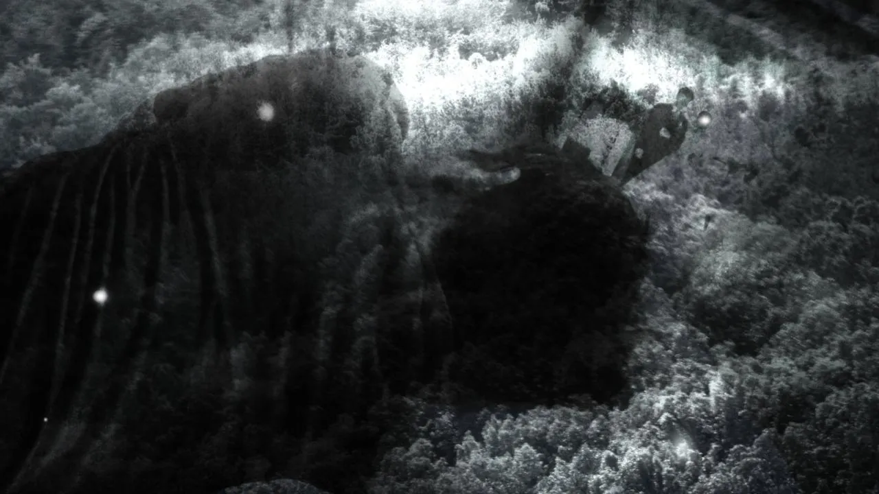 Twilight