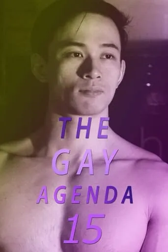 The Gay Agenda 15 movie poster - Entertainment content