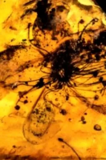 Untitled #9: Nor All Flowers of Foul movie poster - Rated 5/10