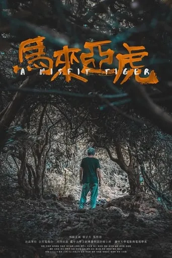 A Misfit Tiger movie poster - Entertainment content