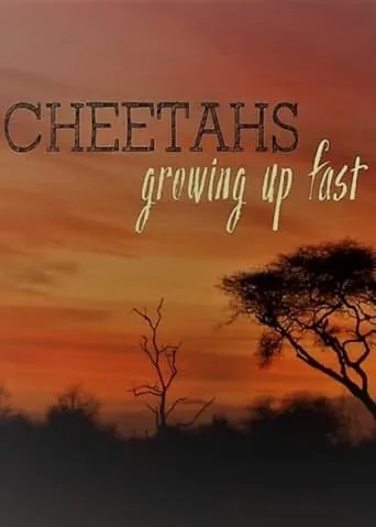 Cheetahs: Growing Up Fast movie poster - Entertainment content