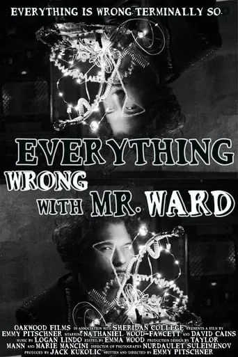 Everything Wrong with Mr. Ward movie poster - Entertainment content