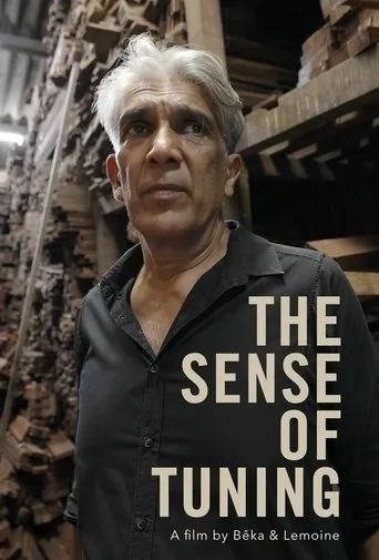 The Sense of Tuning movie poster - Entertainment content
