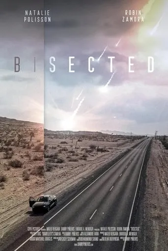 Bisected movie poster - Rated 7.5/10