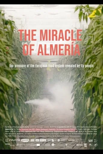 The Miracle of Almería movie poster - Entertainment content
