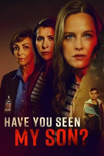 Have You Seen My Son? movie poster - Rated 5/10