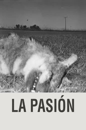 The Passion movie poster - Entertainment content